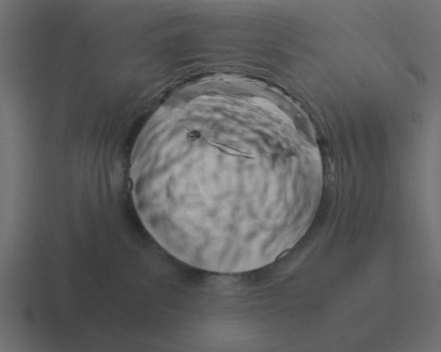 X0000116390139200912291757