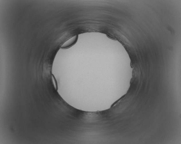 X0000116390141200912291757