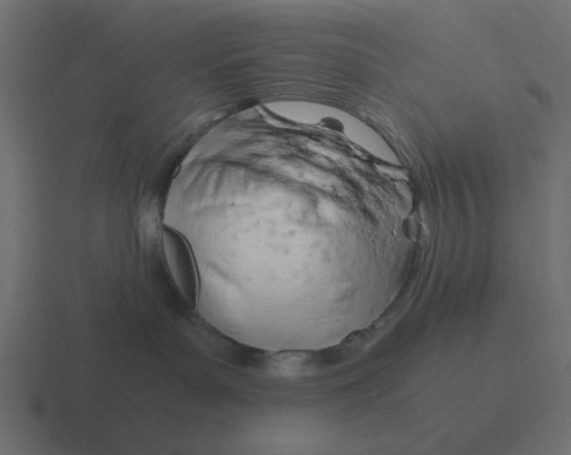 X0000116390143200912291757