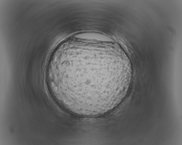 X0000116390145200912291757