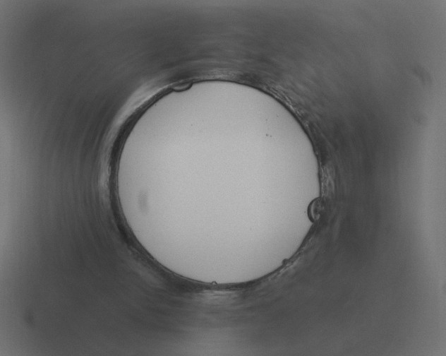 X0000116390150200912291757