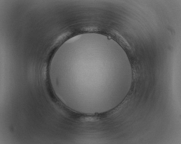 X0000116390163200912291757