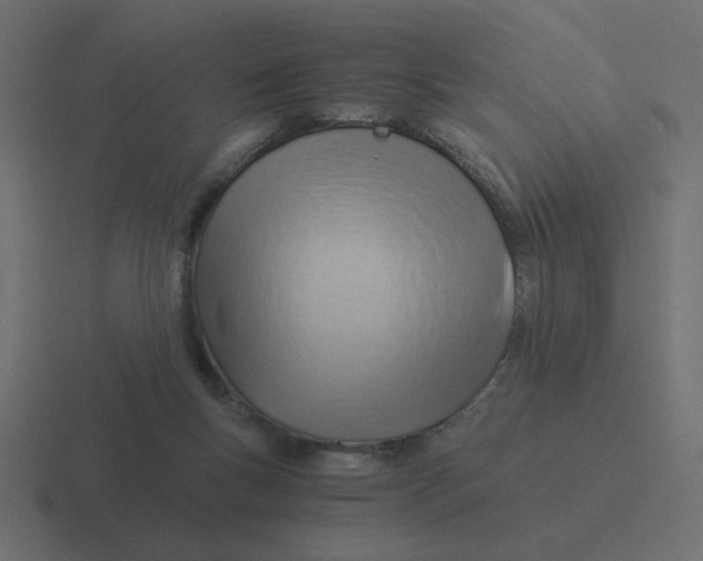 X0000116390167200912291757
