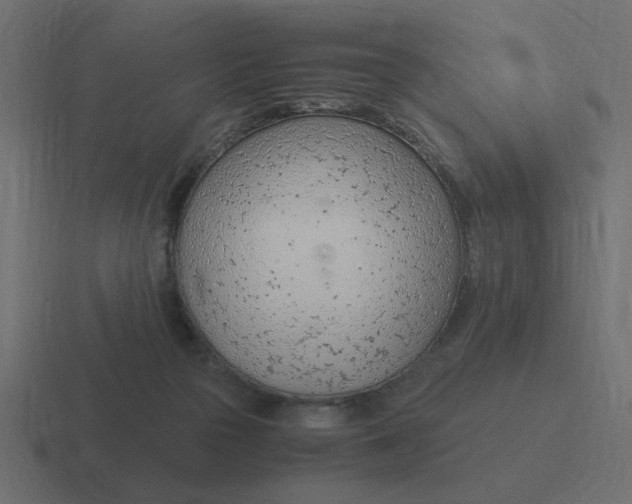 X0000116390169200912291757