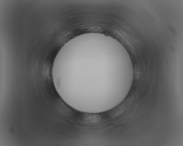 X0000116390185200912291757