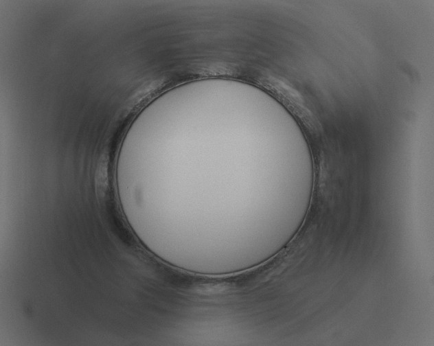 X0000116390202200912291756