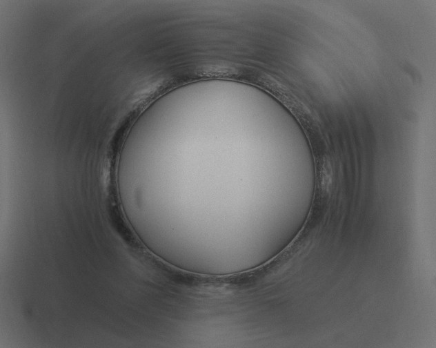 X0000116390206200912291756