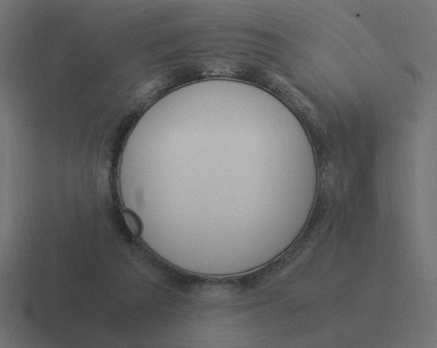 X0000116390209200912291756