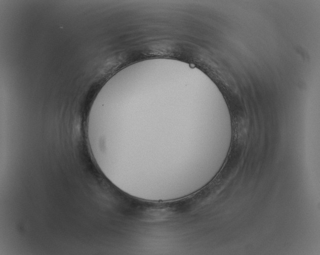 X0000116390213200912291756