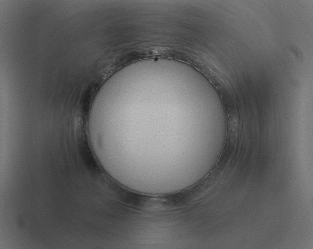 X0000116390222200912291756
