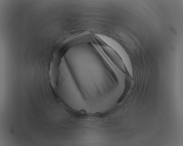 X0000116390223200912291756