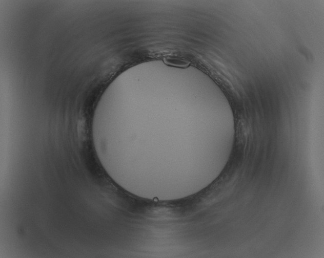 X0000116390224200912291756