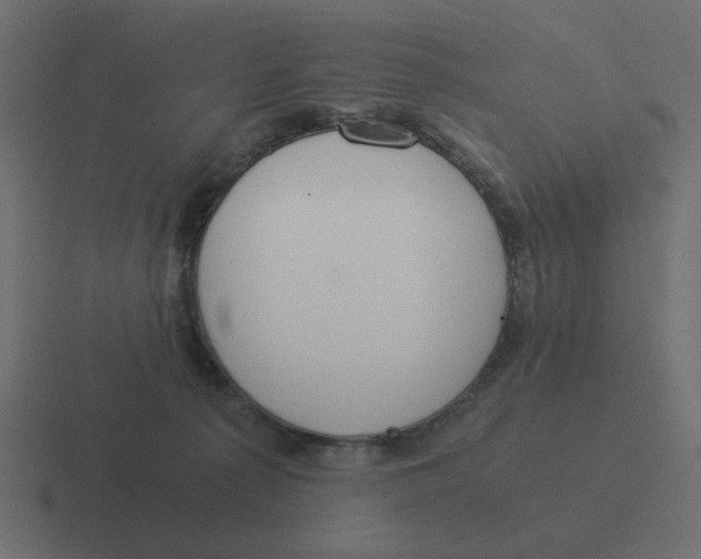 X0000116390225200912291756