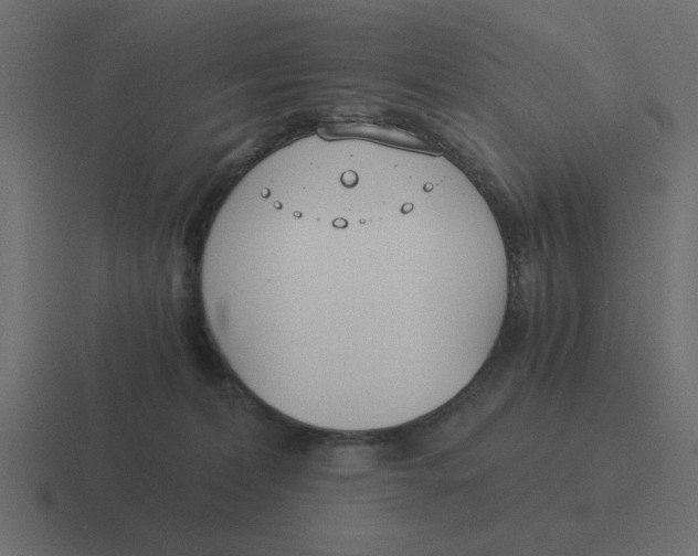 X0000116390228200912291756