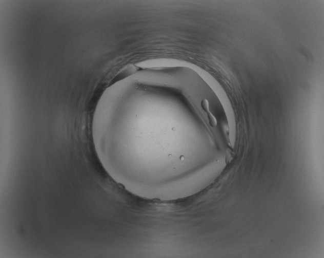 X0000116390233200912291756