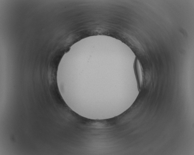 X0000116390236200912291756