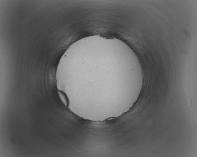 X0000116390240200912291756