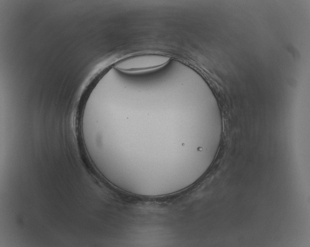 X0000116390244200912291755