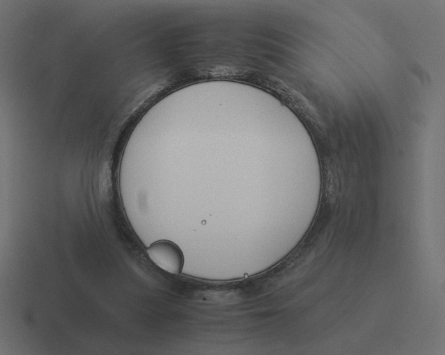 X0000116390251200912291755