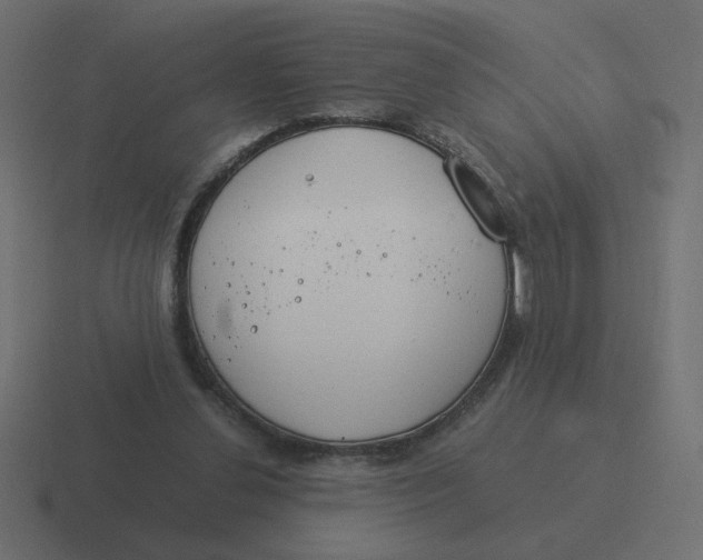 X0000116390252200912291755