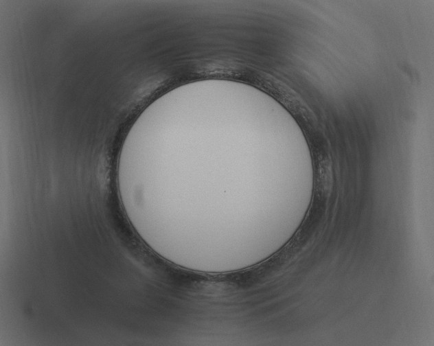 X0000116390255200912291756