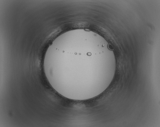 X0000116390258200912291756
