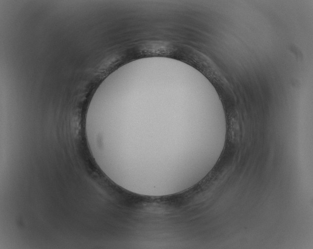 X0000116390259200912291756