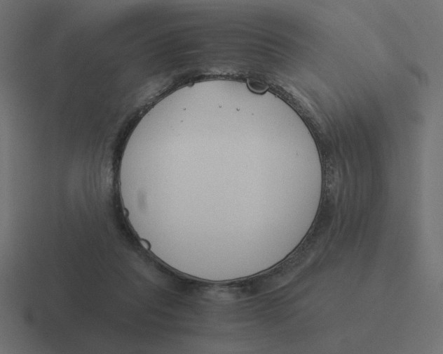 X0000116390261200912291756