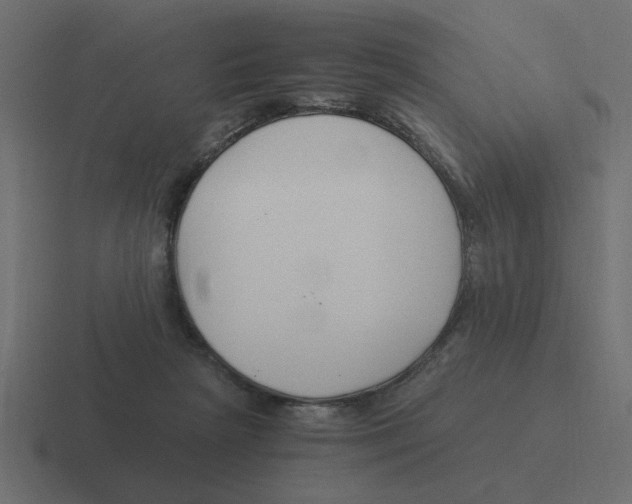 X0000116390265200912291756