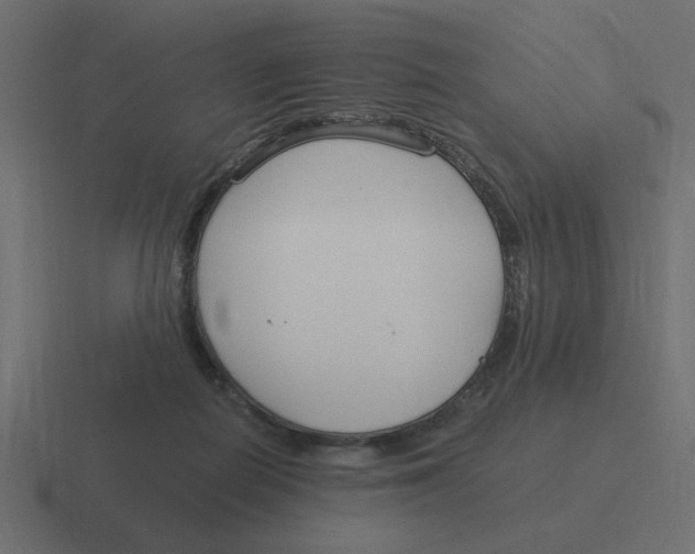 X0000116390266200912291756