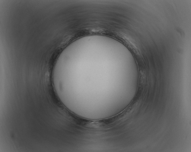 X0000116390269200912291756