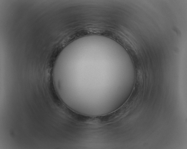 X0000116390271200912291756