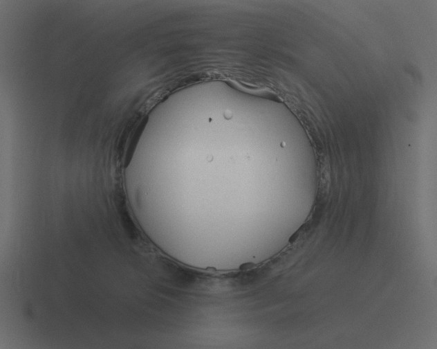 X0000116390276200912291756