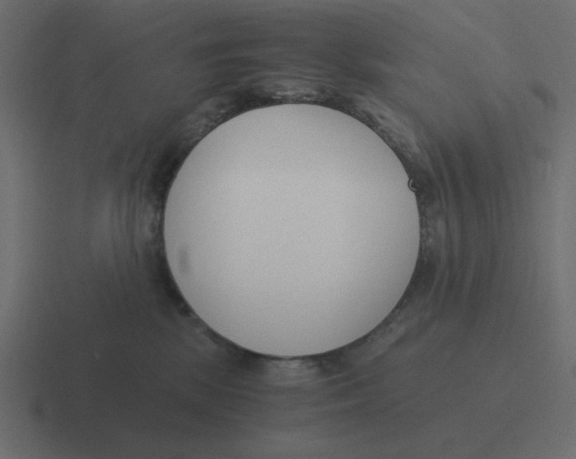 X0000116390281200912291756