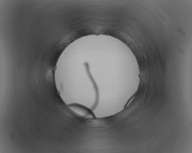 X0000116390286200912291756