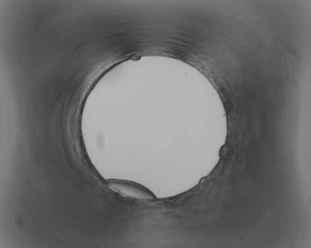 X0000116390289200912291755