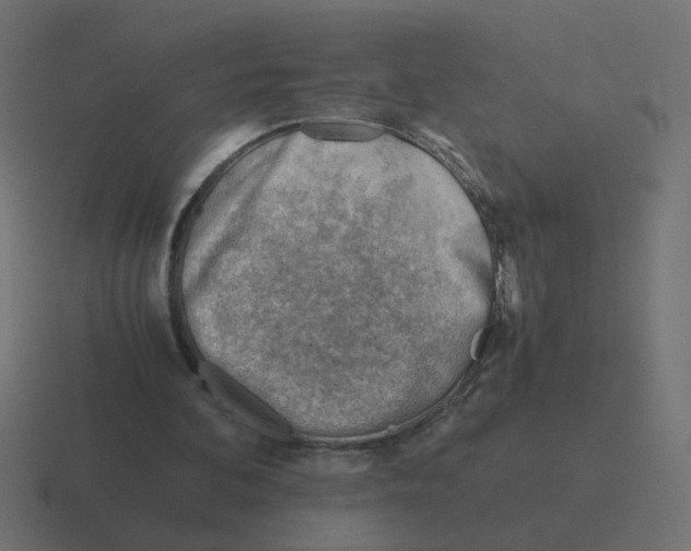 X0000116390292200912291755