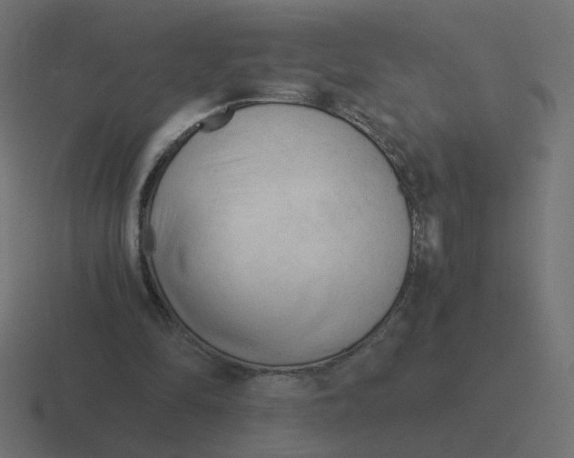 X0000116390294200912291755