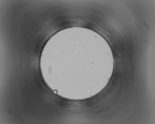 X0000116390297200912291755