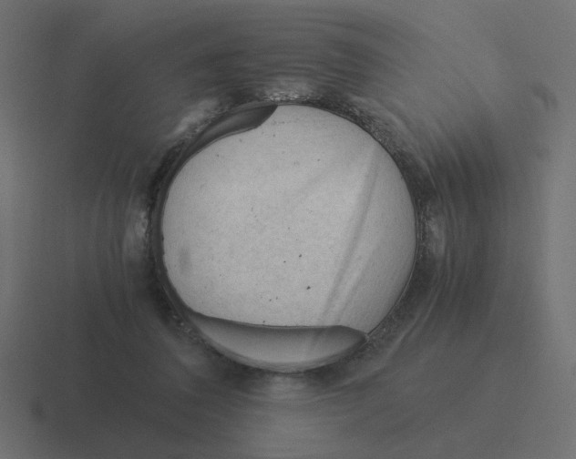X0000116390308200912291755