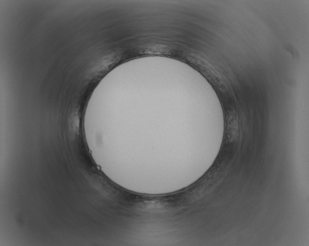 X0000116390310200912291755