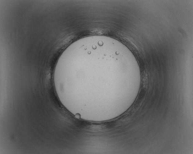 X0000116390314200912291755