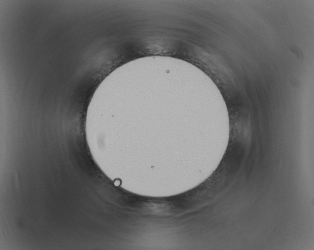 X0000116390317200912291755
