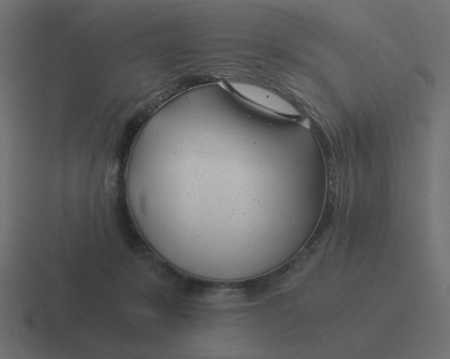 X0000116390319200912291755