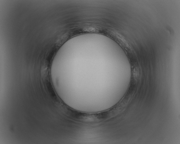 X0000116390322200912291755