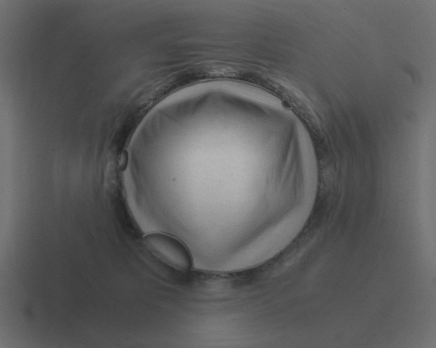 X0000116390325200912291755