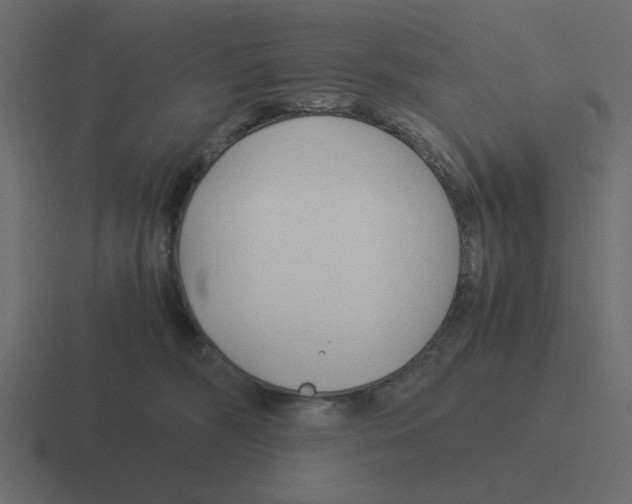 X0000116390326200912291755