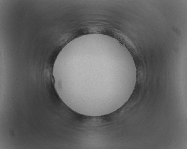 X0000116390329200912291755