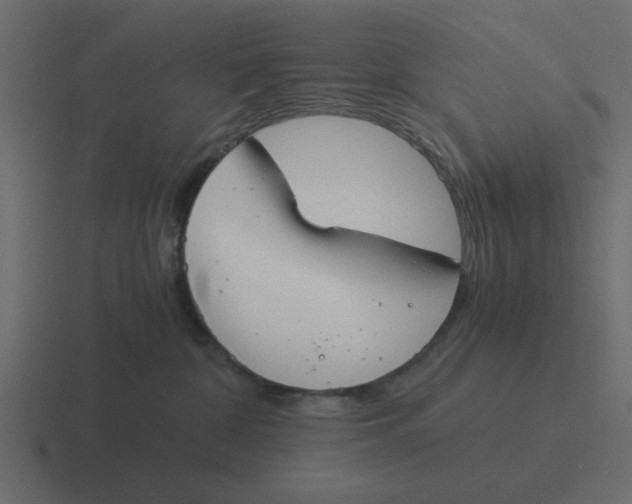 X0000116390332200912291755