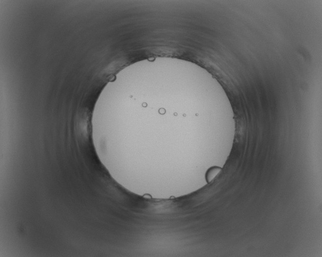 X0000116390334200912291755
